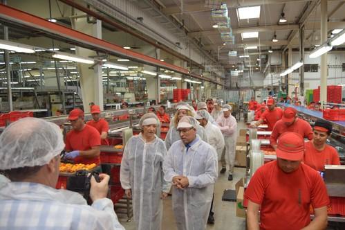 Cooperativas Agro-alimentarias de Granada pone de relieve el potencial económico y social del sector agroalimentario ante la Consejera de Agricultura, Carmen Ortiz Rivas