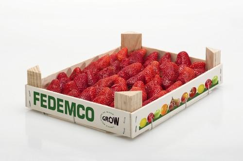 Nuevas evidencias confirman la higiene de la madera en contacto con frutas, pescado y queso