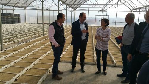El delegado de Agricultura destaca la apuesta por el respeto al medio ambiente y la calidad de los productos de la empresa ‘Cuadraspania’, especializada en escarola