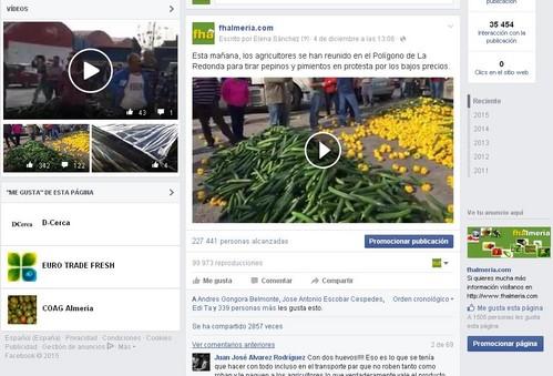 Récord absoluto para el Facebook de Fhalmería que logra cerca de 300 'me gusta' en un solo día
