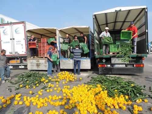 COAG-Almería tacha de “irresponsables” a las comercializadoras respecto a la crisis de precios
