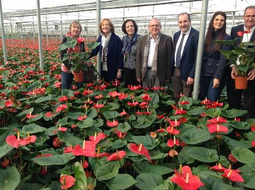 Agricultura reconoce que la suspensión del acuerdo agrícola con Marruecos puede suponer un “beneficio puntual” para las exportaciones