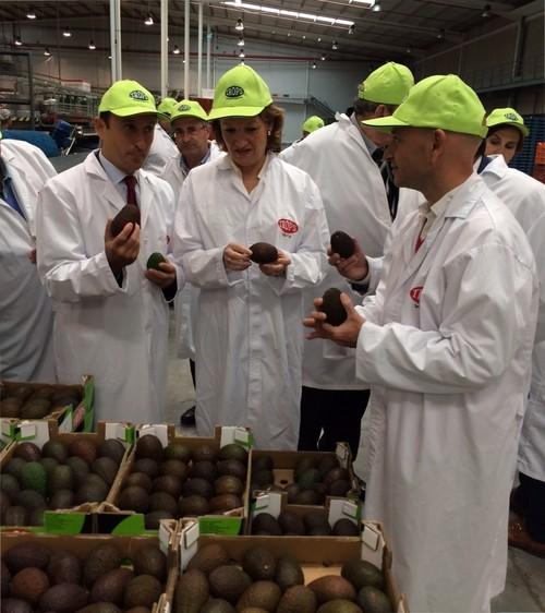 La Consejería de Agricultura ordena el pago de más de 406 millones de euros en ayudas directas de la PAC