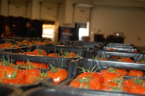 Vegacañada recibe la certificación para la comercialización de producto ecológico