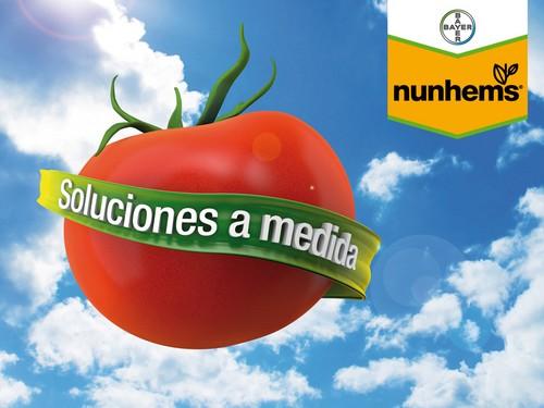 La marca Nunhems® aumenta la producción en ciclo corto para tomate suelto, ramo y cherry para la zona de Níjar