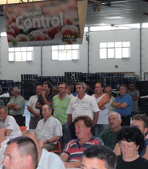 Las altas temperaturas impiden la tradicional subida de los precios de las hortalizas almerienses en Navidad