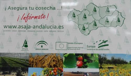 ASAJA recomienda no correr riesgos y asegurar la cosecha de primavera