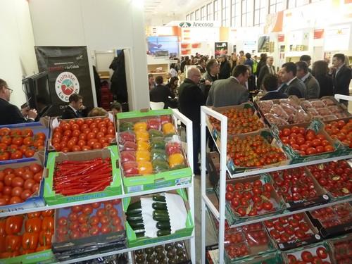Agroponiente y Vegacañada tendrán este año en Fruit Logistica un stand de diseño propio y pensado como punto de encuentro con clientes