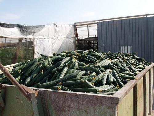 Las OPFHs de APROA afirman que ya han retirado más de 11 millones de kilos de frutas y hortalizas