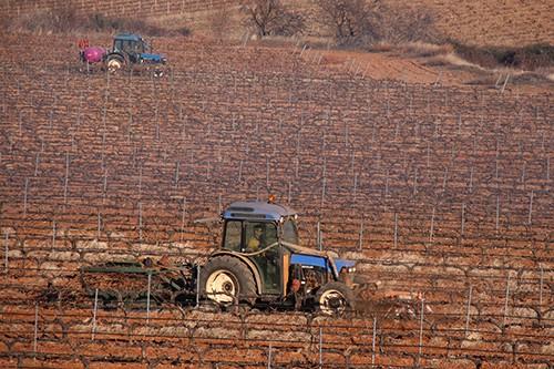 UPA denuncia que el abaratamiento del petróleo y del gas no repercute en los agricultores y ganaderos