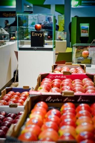 VOG estará presente en Fruit Logistica promocionando su nueva manzana Envy®