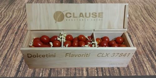 HM Clause presenta en Berlín sus nuevas variedades Flavoriti F1, Dolcetini F1 y CLX 37841 F1*, tomates de excelente sabor y alta productividad