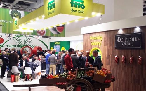 Semillas Fitó mostrará su liderazgo internacional en berenjena semilarga y melón amarillo en Fruit Logistica 2016