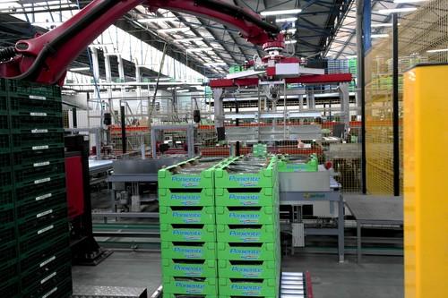 La exportación de frutas y hortalizas frescas españolas creció un 11,7 por ciento en 2015