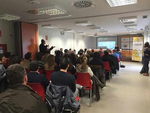CITOLIVA aporta las claves para optimizar la producción y calidad del aceite a través de un manejo sostenible del olivar