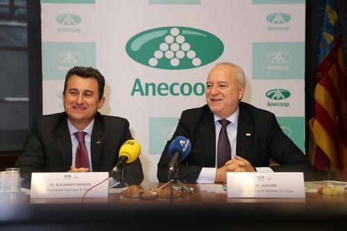 Anecoop celebra sus 40 años con la mejor campaña en volumen comercializado y un crecimiento del 5,6% en facturación