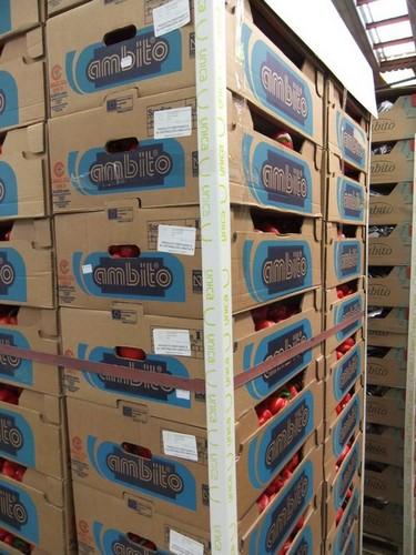 La iniciativa ciudadana en apoyo al sector del manipulado recoge 6.000 firmas en dos semanas