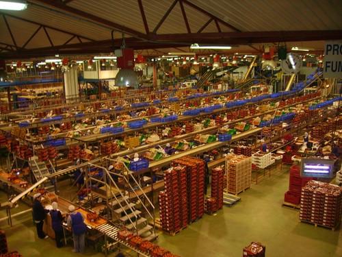 Se rompen las negociaciones del convenio del sector del manipulado que iniciará una huelga indefinida el lunes