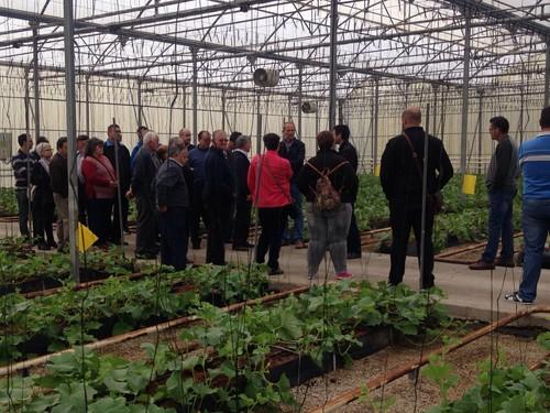 Casi un centenar de cooperativistas asisten a una jornada sobre la salud del agricultor y virus hortícolas
