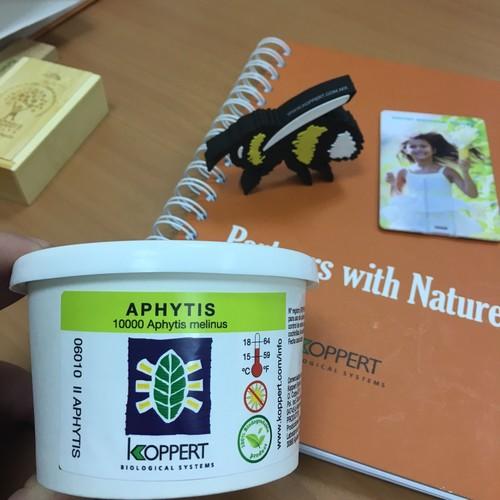 Koppert comienza la introducción del ecodiseño en sus productos para el control biológico en cítricos
