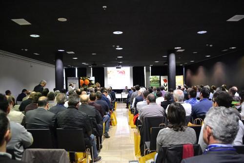  El Plan STAR Cítricos desgrana las claves para mejorar la competitividad de la citricultura valenciana