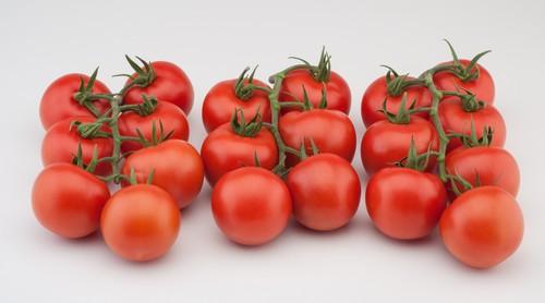 Zeraim Ibérica, tomates con color, sabor y conservación ideales para un ciclo largo