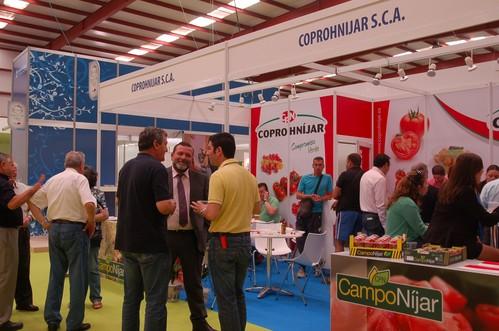 Coprohníjar prevé un incremento del 10% de su producción de sandía en esta primavera