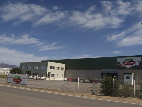 Vicasol abre las primeras líneas comerciales para llevar al mercado su producción de hortalizas ‘bío’
