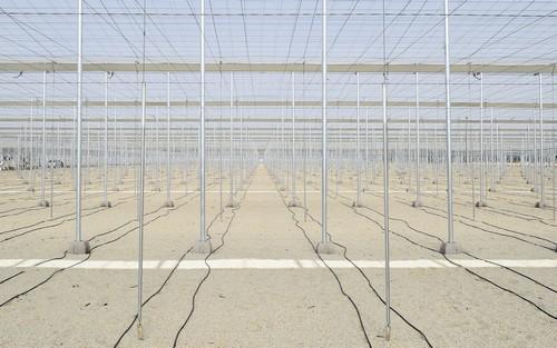 Agroclean Invernaderos participa en Expolevante y da a conocer su nueva web y su cambio de oficina