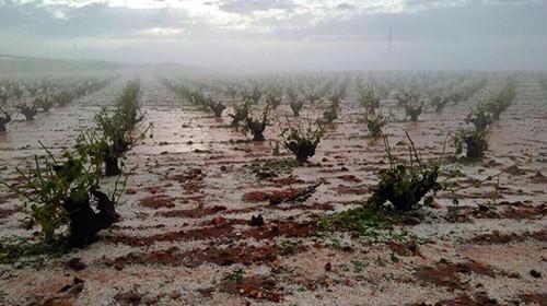 UPA pide la reducción urgente de los módulos para los agricultores y ganaderos