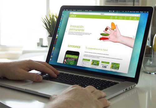 Unica Group crea un catálogo virtual que muestra la disponibilidad y confección de toda la gama de productos