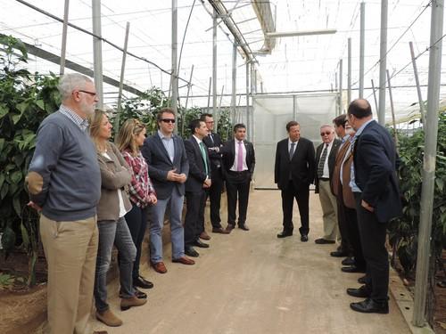 Un nuevo proyecto de energía fotovoltaica permitirá que el sector sea aún más competitivo