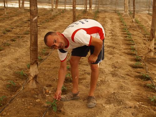 Las solicitudes de ayudas a jóvenes agricultores de la campaña 2015 desbordan las previsiones y el presupuesto de la Junta, dice ASAJA