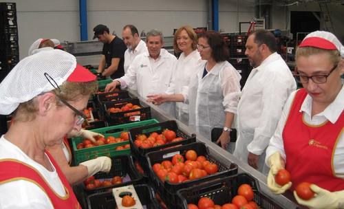 Las exportaciones hortofrutícolas de Almería aumentan un 6,3% en el primer trimestre y superan las 906.000 toneladas