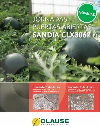 HM Clause muestra este lunes y martes su novedad en sandía, la CLX 3062 F1