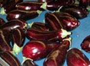 Ligero incremento de los precios de calabacín y berenjena en la primera semana de junio