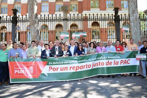 El PSOE de Almería participa en una concentración ante el Ministerio de Agricultura para pedir una PAC “justa”