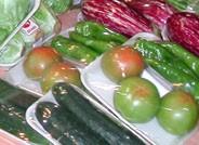 La Junta destaca el gran futuro del sector agroalimentario andaluz gracias a la firmeza de sus cimientos