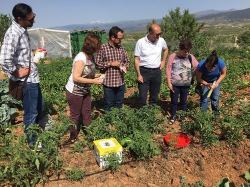 Koppert muestra a Noesso los beneficios del control biológico de plagas en cultivos hortícolas al aire libre