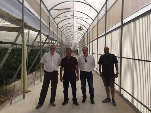 La Junta apoya con más de 175.000 euros dos explotaciones de invernadero multicapilla de hortalizas en Roquetas de Mar