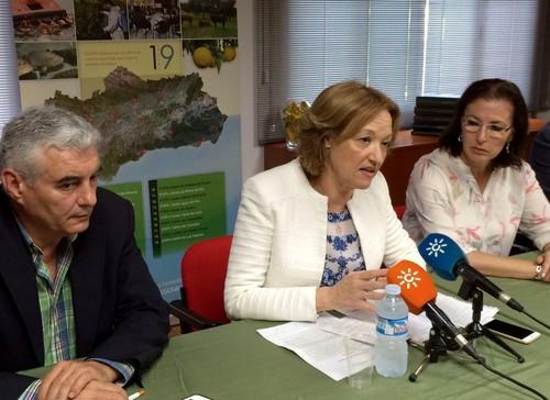 La Junta abre una nueva convocatoria de ayudas a jóvenes agricultores y ganaderos con un presupuesto de 30 millones