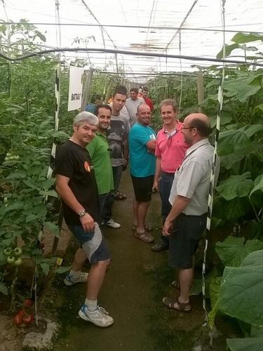 Introducir nuevas alternativas de tomate y pepino ampliando su calendario, objetivos de Nunhems® en la costa de Granada