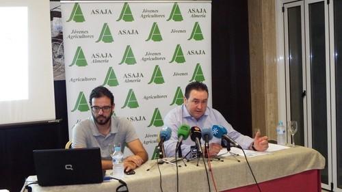 Cerca de 12.000 agricultores vieron caer sus ingresos esta campaña según ASAJA-Almería