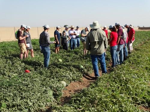 Rijk Zwaan presenta sus sandías y melones desde Cartagena a todo el mundo en el “Global Melon & Watermelon Event”