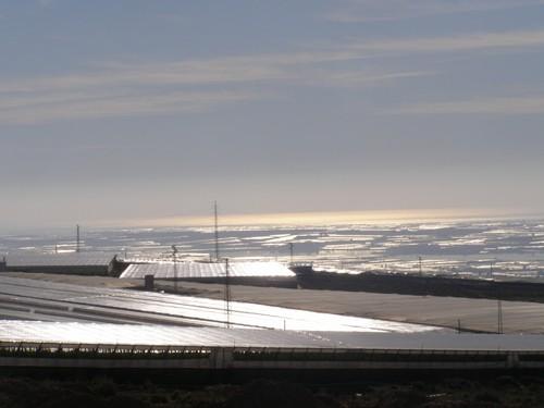 La Junta modifica el Impuesto de Sucesiones y eximirá a la mayoría de los agricultores herederos de su pago
