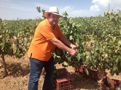 Los viticultores almerienses solo estarán obligados a realizar la declaración de producción dos veces al año