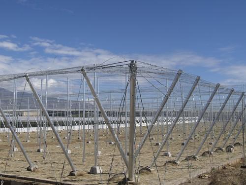 El Ayuntamiento de El Ejido recibe en 2016 un total de 200 peticiones de licencias para la modernización y construcción de invernaderos
