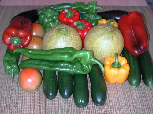 La exportación de frutas y hortalizas frescas asciende a 7.101 millones de euros en el primer semestre de 2016, un 5,3% más