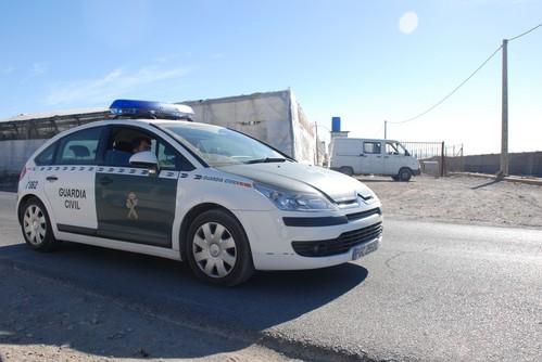 Arranca 600 plantas de pimiento y pisotea otros 1.500 metros de la plantación tras una disputa con su jefe