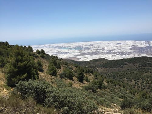 El Ayuntamiento de El Ejido incide en la campaña de revisión de las medidas de protección en las balsas de cara al comienzo de la temporada agrícola